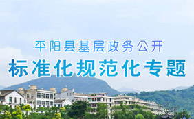 標(biāo)準(zhǔn)化規(guī)范化專題